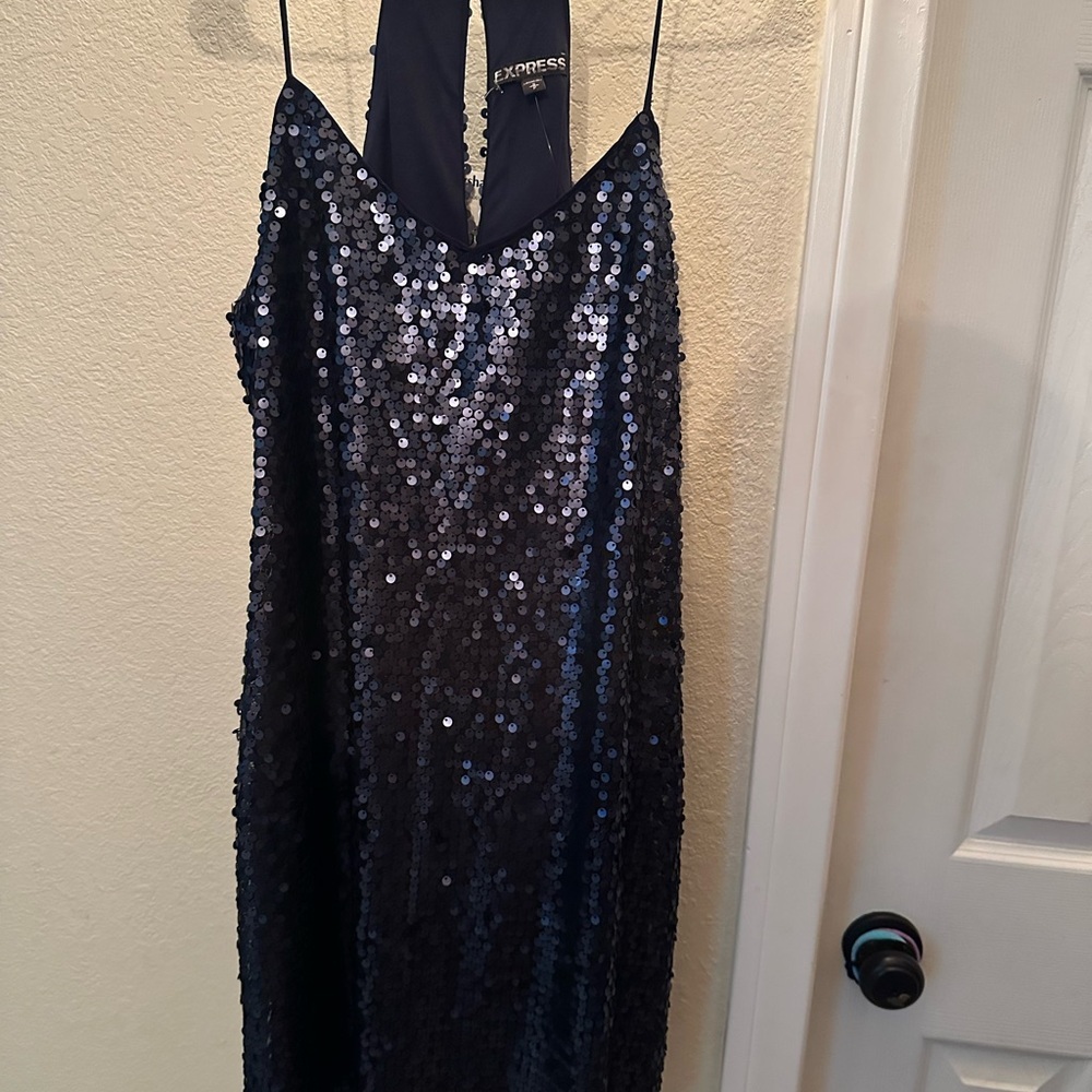 Express Midnight Blue Sequin Dress